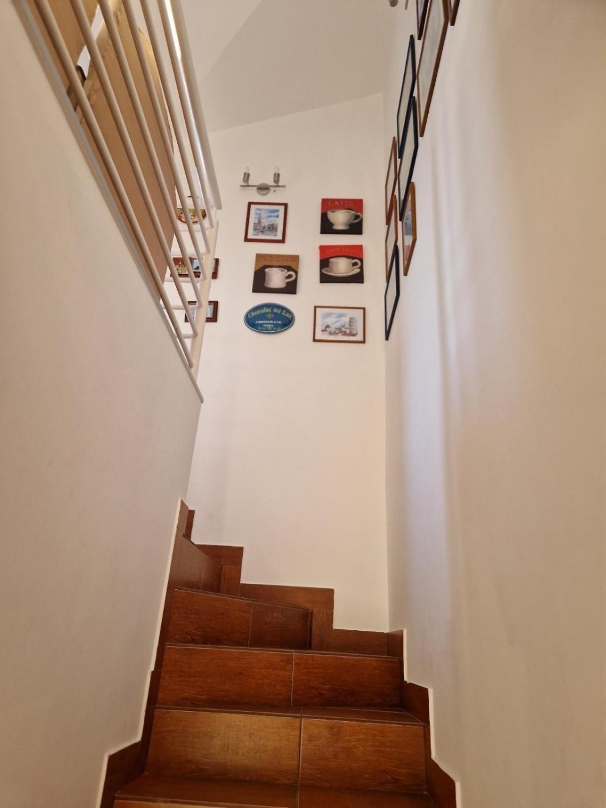 Apartment Natalia Petrovac